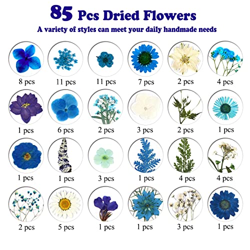 LUCISKY 85 Pcs Blue Pressed Dried Flowers for Resin Molds, Real Natural Flowers Leaves Bulk for DIY Art Nail Crafts, Jewelry, Candle, Soap Making - Image 4