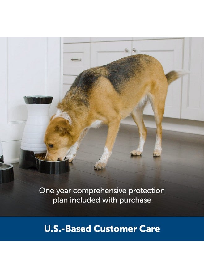 بيت سيف محطة طعام الحيوانات الأليفة الصحية من بيت سيف - صغيرة، سعة 2 رطل - موزع طعام جاف للحيوانات الأليفة يعمل بالجاذبية - وحدة تغذية أوتوماتيكية للقطط أو الكلاب الصغيرة - وعاء قابل للإزالة من الفولاذ المقاوم للصدأ - Image 4