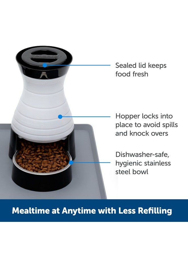 بيت سيف محطة طعام الحيوانات الأليفة الصحية من بيت سيف - صغيرة، سعة 2 رطل - موزع طعام جاف للحيوانات الأليفة يعمل بالجاذبية - وحدة تغذية أوتوماتيكية للقطط أو الكلاب الصغيرة - وعاء قابل للإزالة من الفولاذ المقاوم للصدأ - Image 2