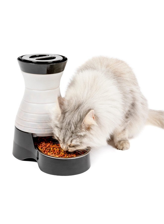 بيت سيف محطة طعام الحيوانات الأليفة الصحية من بيت سيف - صغيرة، سعة 2 رطل - موزع طعام جاف للحيوانات الأليفة يعمل بالجاذبية - وحدة تغذية أوتوماتيكية للقطط أو الكلاب الصغيرة - وعاء قابل للإزالة من الفولاذ المقاوم للصدأ - Image 1