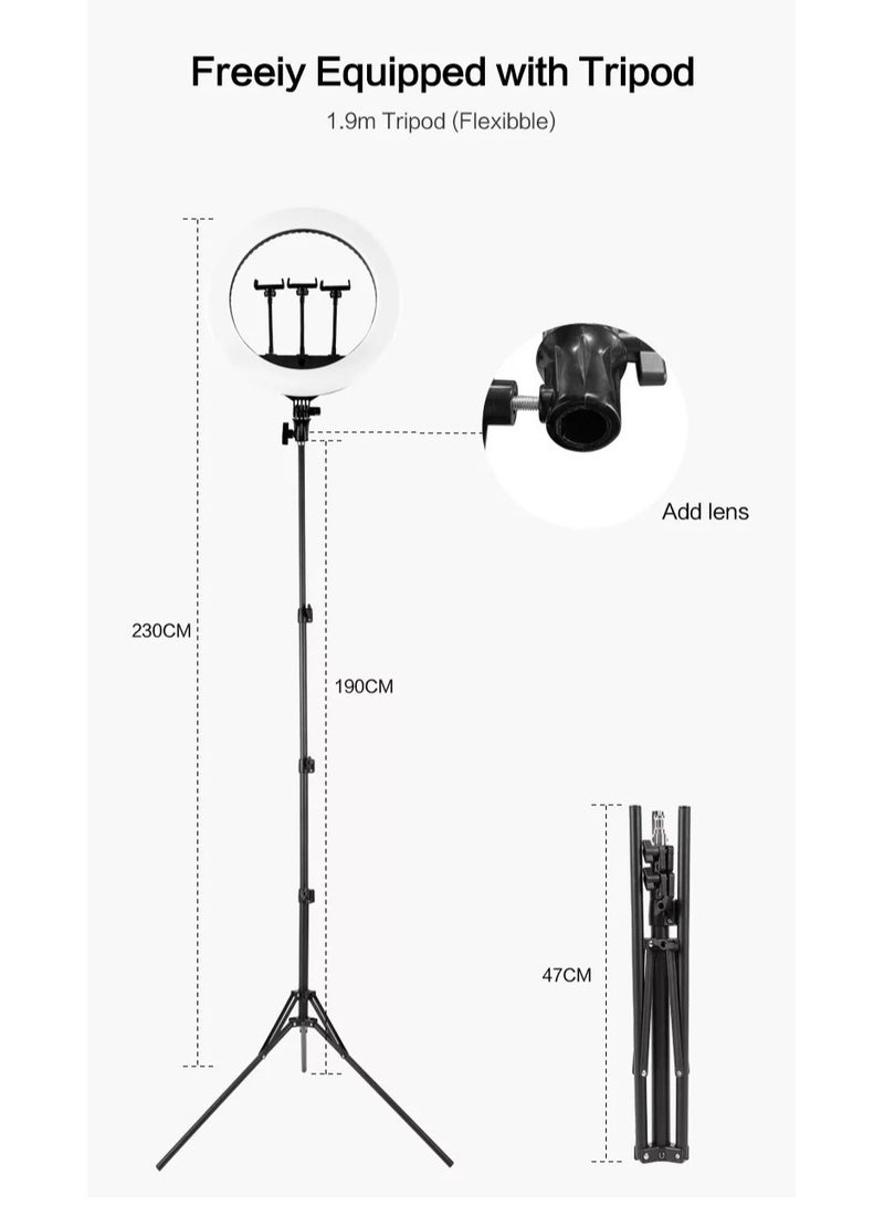 Pama 21N 21 Inch LED Photography Soft Ring Light With Tripod Stand - Image 3