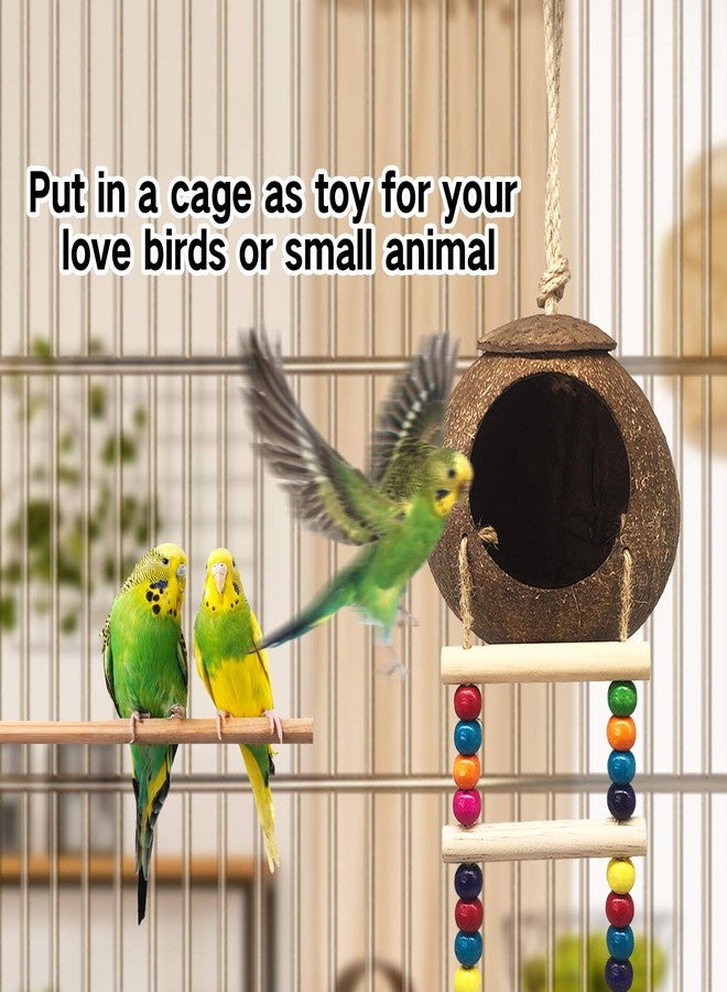 Eeaivnm Hanging Coconut Birds House with Ladder,Natural Coconut Fiber Shell Bird Nest for Parrot Parakeet Lovebird Finch Canary,Coconut Hide Birds Swing Toys for Hamster,Bird Cage Accessories,Pet Bird Supply - Image 5