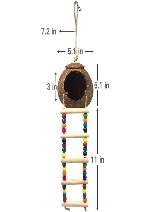 Eeaivnm Hanging Coconut Birds House with Ladder,Natural Coconut Fiber Shell Bird Nest for Parrot Parakeet Lovebird Finch Canary,Coconut Hide Birds Swing Toys for Hamster,Bird Cage Accessories,Pet Bird Supply - Image 3