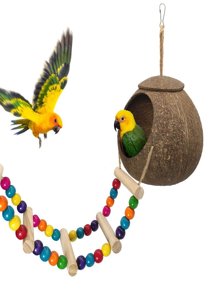 Hanging Coconut Birds House with Ladder,Natural Coconut Fiber Shell Bird Nest for Parrot Parakeet Lovebird Finch Canary,Coconut Hide Birds Swing Toys for Hamster,Bird Cage Accessories,Pet Bird Supply