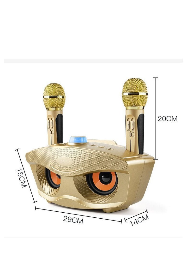 SDRD - Wireless Bluetooth Speaker With 2-Piece Mic Black - Image 1