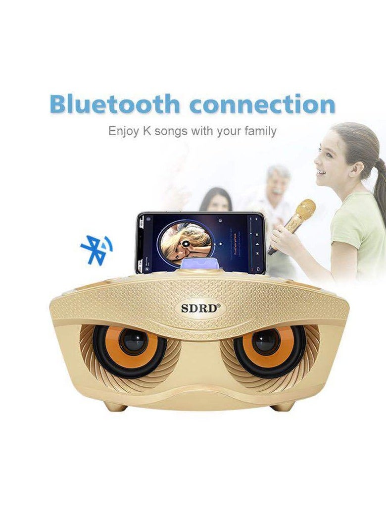 SDRD - Wireless Bluetooth Speaker With 2-Piece Mic Black - Image 1