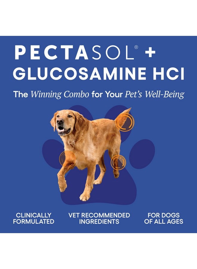 ecoNugenics PectaPaws Chewable Dog Supplements - Beef Flavor, 90 Count - PectaSol Modified Citrus Pectin + Glucosamine HCI for Dogs of All Ages, Supports Mobility, Joints, Immune Function, Pain Relief - Image 3
