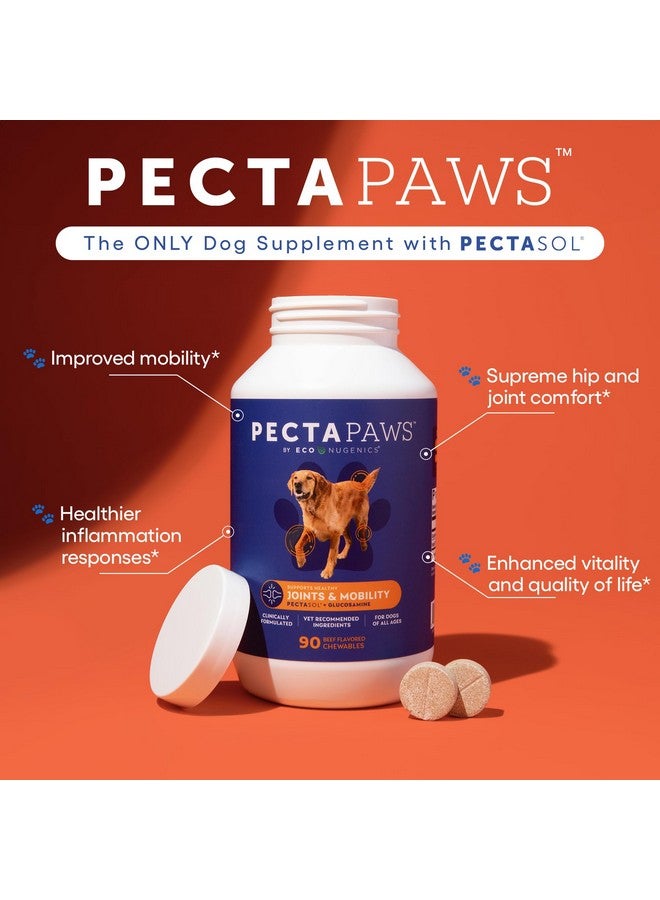 ecoNugenics PectaPaws Chewable Dog Supplements - Beef Flavor, 90 Count - PectaSol Modified Citrus Pectin + Glucosamine HCI for Dogs of All Ages, Supports Mobility, Joints, Immune Function, Pain Relief - Image 2