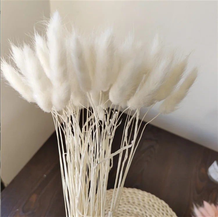Bluejw INS Style Natural Dried Bunny Tail Grass Cake Topper 60PCS - Wedding Bouquets & Flower Arrangement, Dried Plants Decor - Image 2