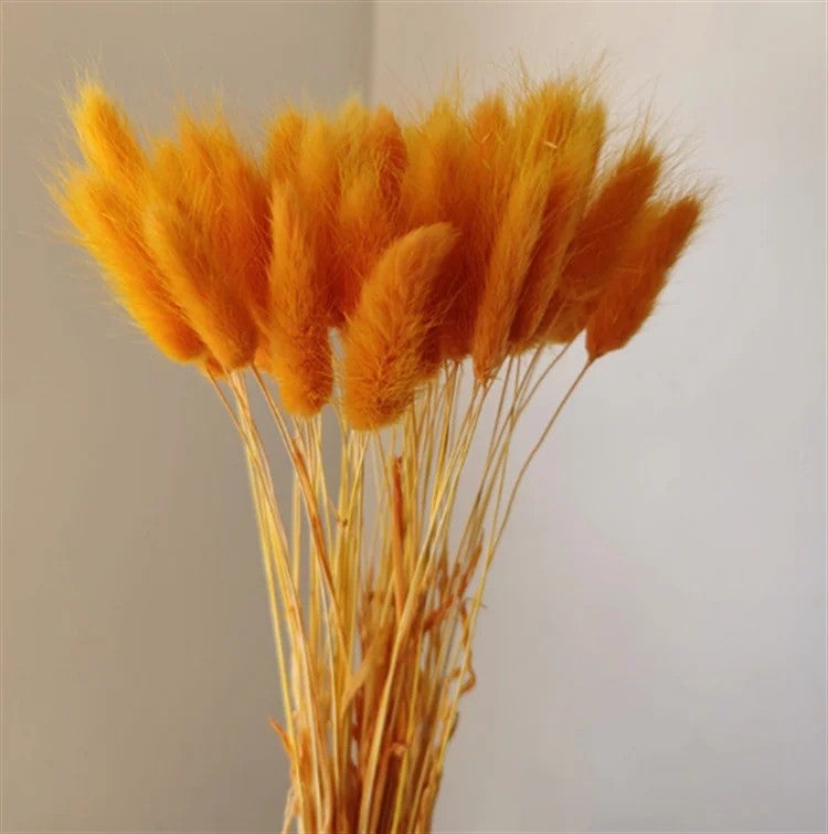 Bluejw INS Style Natural Dried Bunny Tail Grass Cake Topper 60PCS - Wedding Bouquets & Flower Arrangement, Dried Plants Decor - Image 5