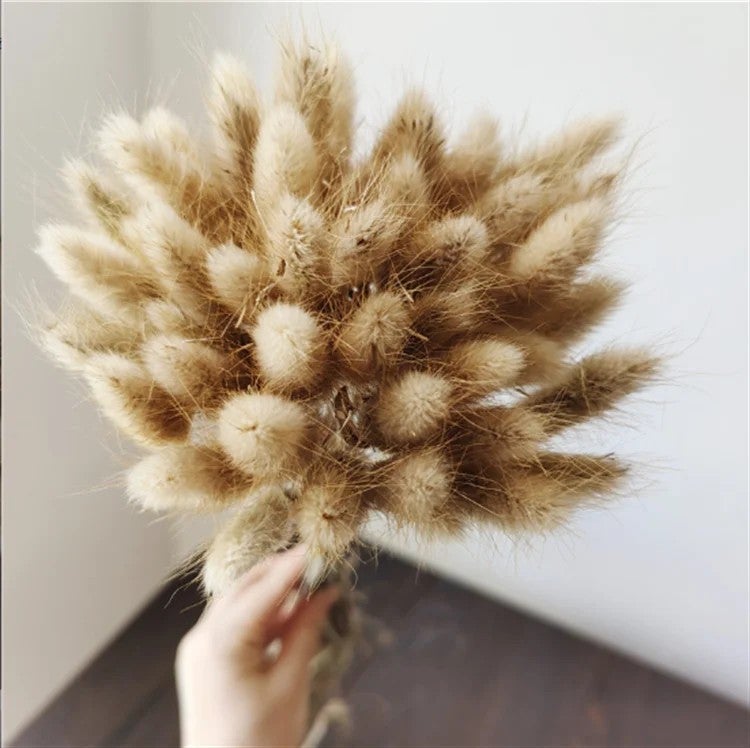 Bluejw INS Style Natural Dried Bunny Tail Grass Cake Topper 60PCS - Wedding Bouquets & Flower Arrangement, Dried Plants Decor - Image 4