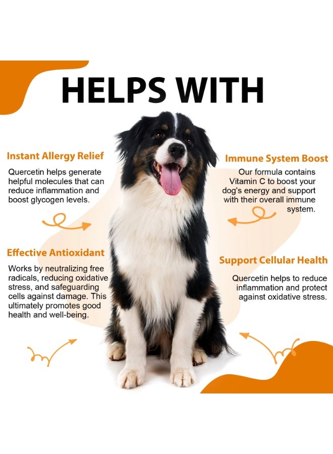 Oimmal كويرسيتين للكلاب 60 مل - Image 3
