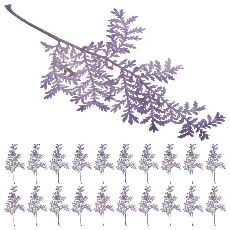 Purple Dried Artemisia Leaves 48pcs Pressed Flowers Set for DIY Crafts Bookmarks Resin Decor - Image 2