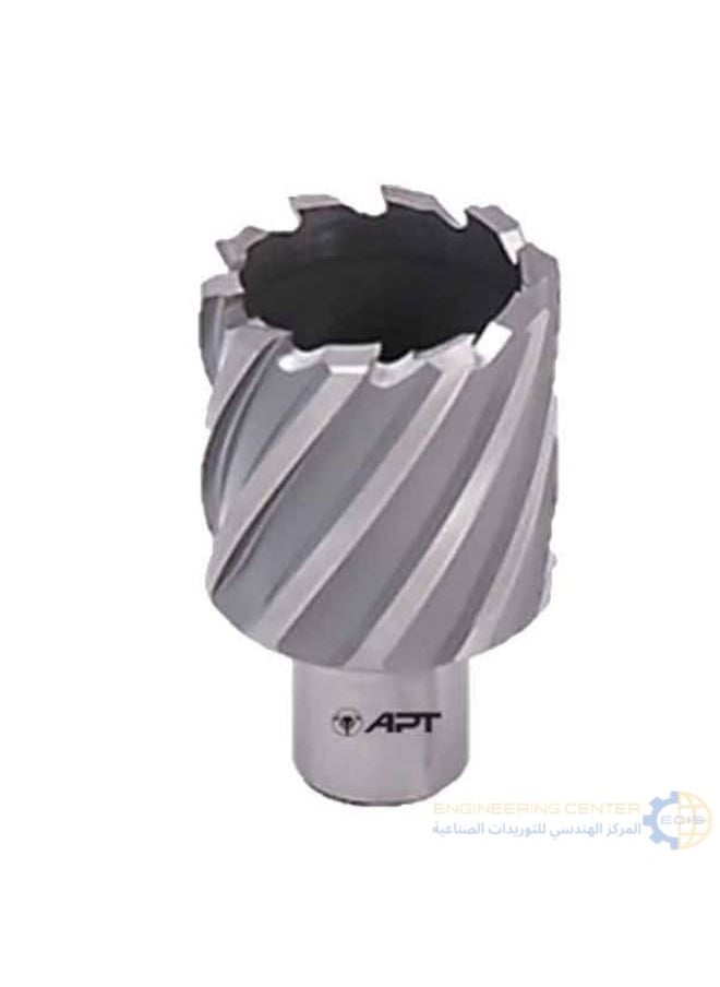 Apt Magnetic bit 24 x 30mm APT HSS-XE 