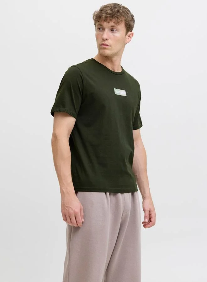 JACK & JONES Jack And Jones JJPAN Crew Neck Regular Fit T-Shirt