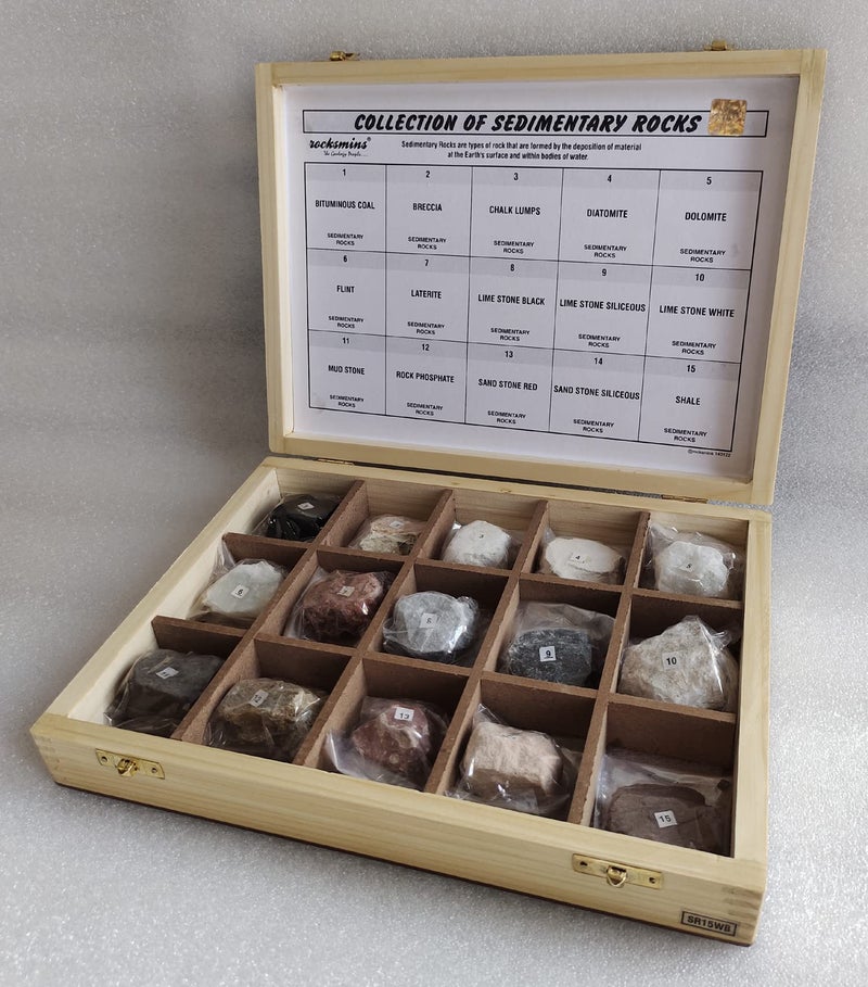 Rocksmins SR15WB Collection Set of 15 Sedimentary Rocks in Wooden Box 15 Big Specimens for Students of School College Education Igneous Sedimentary Metamorphic samples collections introductory activity stones kit - Image 2