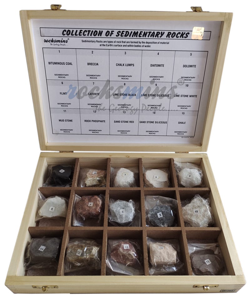 Rocksmins SR15WB Collection Set of 15 Sedimentary Rocks in Wooden Box 15 Big Specimens for Students of School College Education Igneous Sedimentary Metamorphic samples collections introductory activity stones kit - Image 4