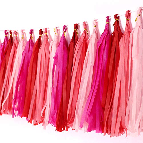 Binpeng Tissue Paper Tassel DIY Hanging Paper Decorations Party Garland for Parties, Weddings, Festivals, Baby Showers - 20PCS (Gradual Red, 35CM) - Image 3