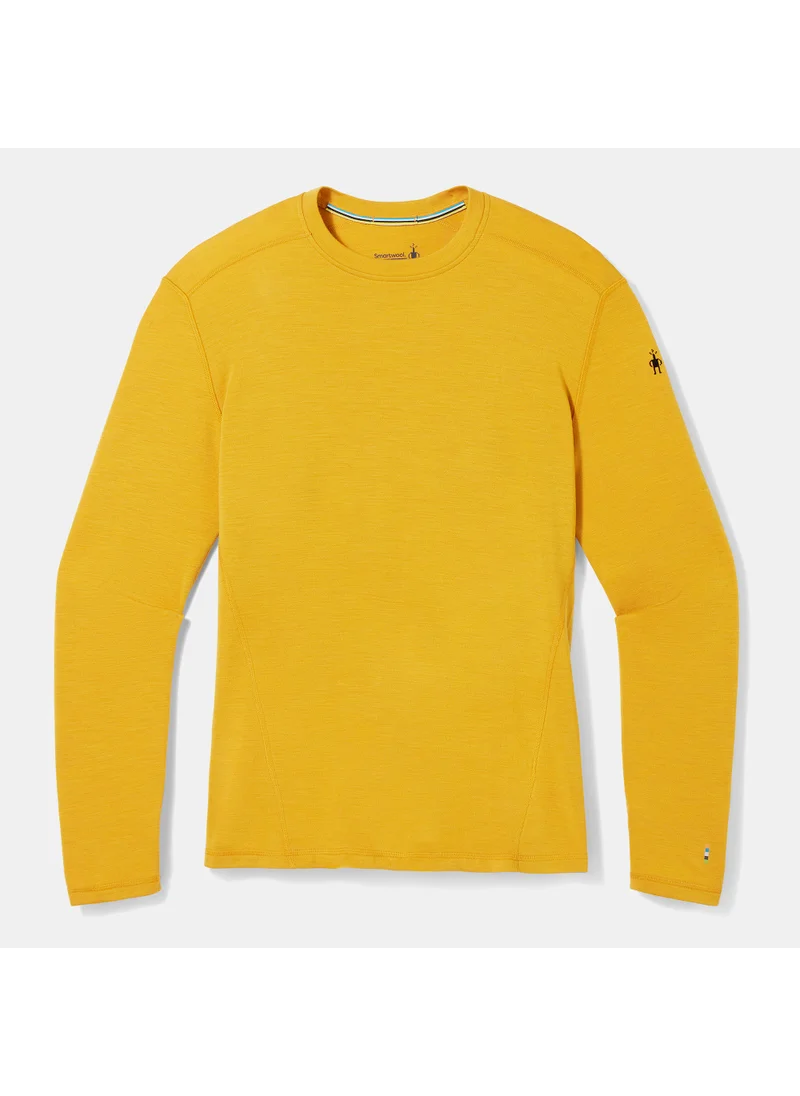 SmartWool Men's Merino 250 Baselayer T-Shirt