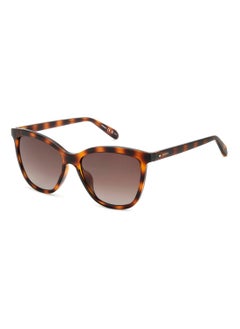 FOSSIL RECTANGULAR Sunglasses