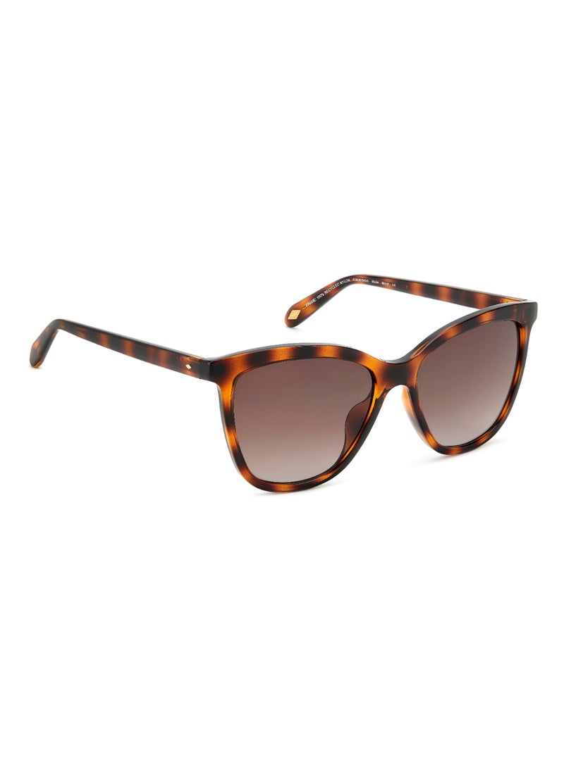 FOSSIL - FOSSIL RECTANGULAR Sunglasses - Image 1