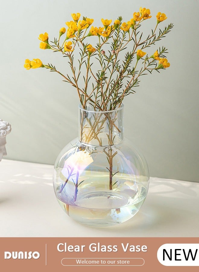 DUNISO Creative Clear Glass Vase Craft Aesthetic Decorative Small Flower Vase Hydroponic Plant Desktop Ornament Modern Irregularity Vase for Flowers Rose Home and Office - Image 1