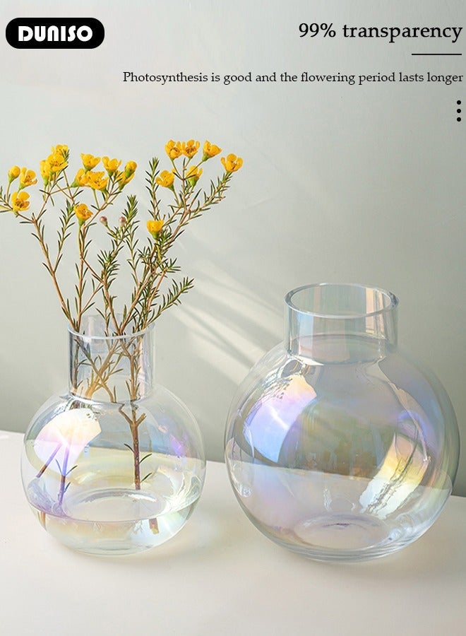 DUNISO Creative Clear Glass Vase Craft Aesthetic Decorative Small Flower Vase Hydroponic Plant Desktop Ornament Modern Irregularity Vase for Flowers Rose Home and Office - Image 3