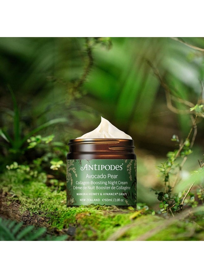 Antipodes Avocado Pear Collagen-Boosting Night Cream 60ml - Image 4
