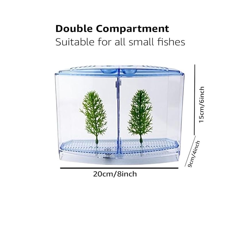 Store Double Betta Fish Tank with 2 compartments | Fighter Fish Tank with partition | Suitable only for Small Fishes