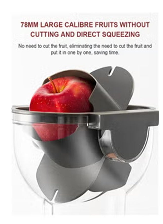 sokany - Slow Masticating Juicer, Slow juicer, Fruit Vegetable Juicer, Cold Press Juicer with High Output 300W JE-32 (White) - Image 1