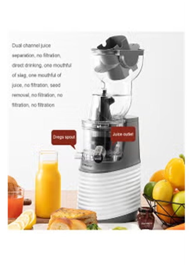 sokany - Slow Masticating Juicer, Slow juicer, Fruit Vegetable Juicer, Cold Press Juicer with High Output 300W JE-32 (White) - Image 1