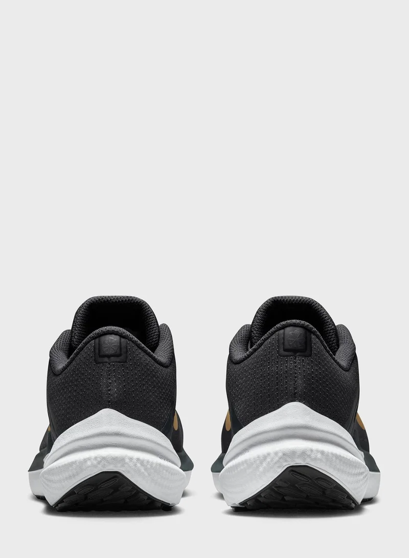 Nike Air Winflo 10