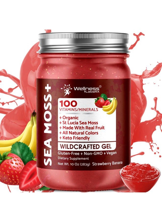 WELLNESS LABSRX Irish Sea Moss Gel Organic Raw - Wildcrafted Superfood Seamoss Gel - Strawberry Banana Flavor, Vitamin and Mineral-Rich from Pristine Caribbean Waters, Immune and Digestive Health Support - 10 oz. - Image 1
