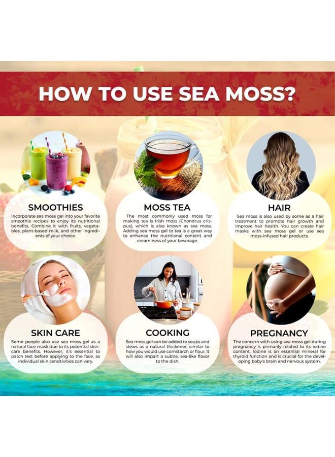 WELLNESS LABSRX Irish Sea Moss Gel Organic Raw - Wildcrafted Superfood Seamoss Gel - Strawberry Banana Flavor, Vitamin and Mineral-Rich from Pristine Caribbean Waters, Immune and Digestive Health Support - 10 oz. - Image 4