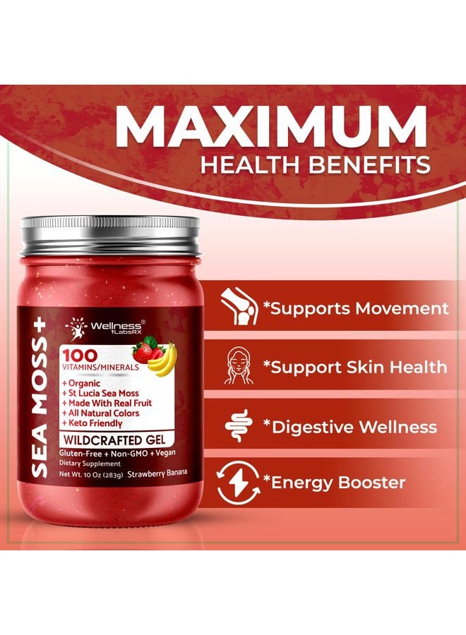 WELLNESS LABSRX Irish Sea Moss Gel Organic Raw - Wildcrafted Superfood Seamoss Gel - Strawberry Banana Flavor, Vitamin and Mineral-Rich from Pristine Caribbean Waters, Immune and Digestive Health Support - 10 oz. - Image 3