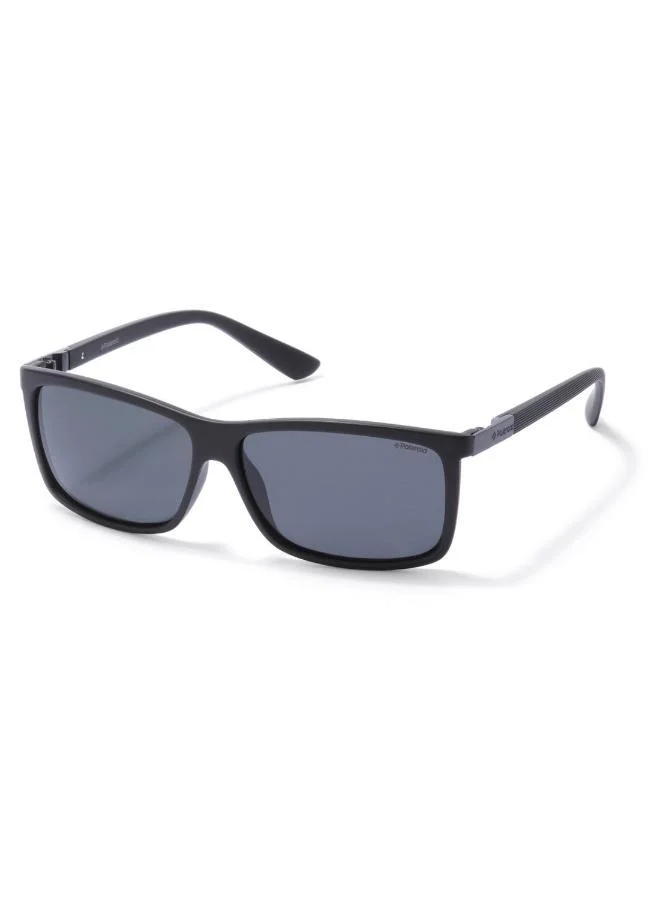 Polaroid Polaroid Sunglasses P8346