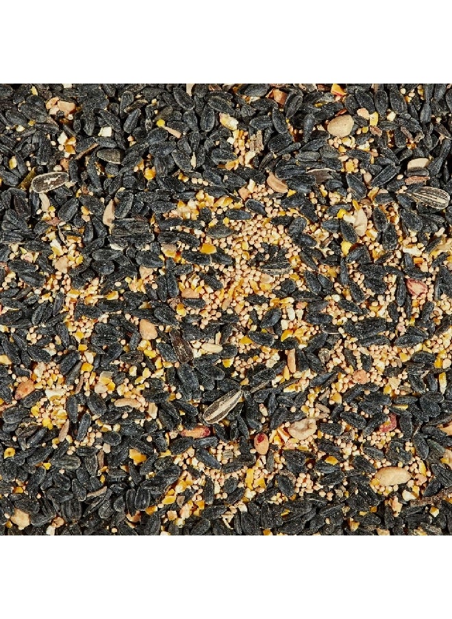 Kaytee Songbird Blend Black Oil Sunflower Seed Wild Bird Food Multicolour 43.81 x 26.92 x 6.35 cm 81053  - Image 4