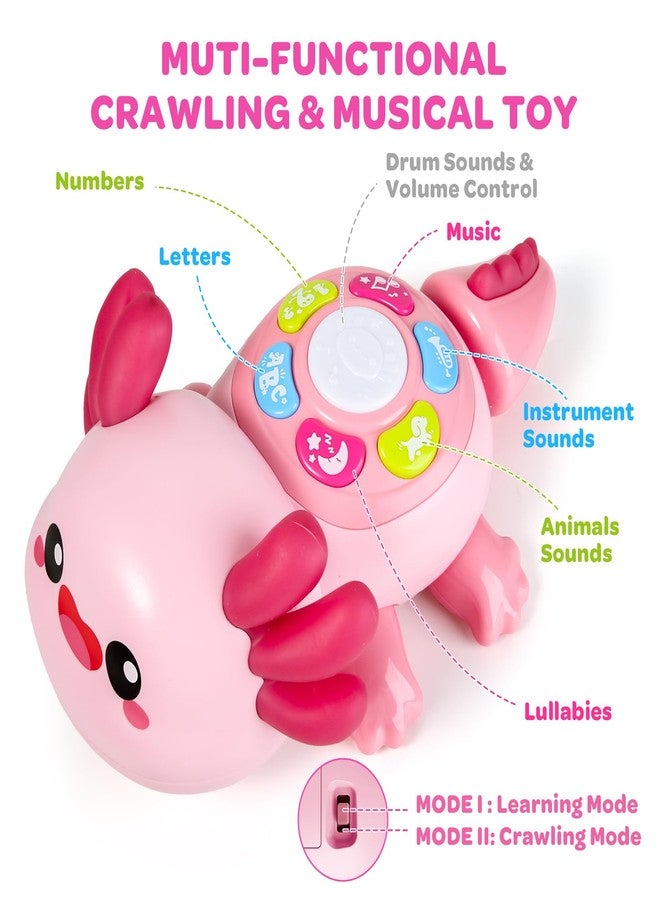 GMAOPHY Baby Axolotl Toys 6-12 Months,Tummy Time Musical Crawling Toys with Light,Interactive Early Educational Learning Toys for Infant 6-9-12 Months,Christmas Birthday Gifts for Toddlers 1 Year Old Boy Girl - Image 2