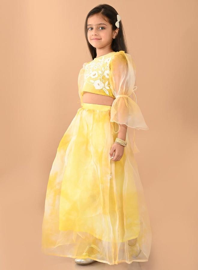 LILPICKS Designer Lehenga Choli Set - Image 4