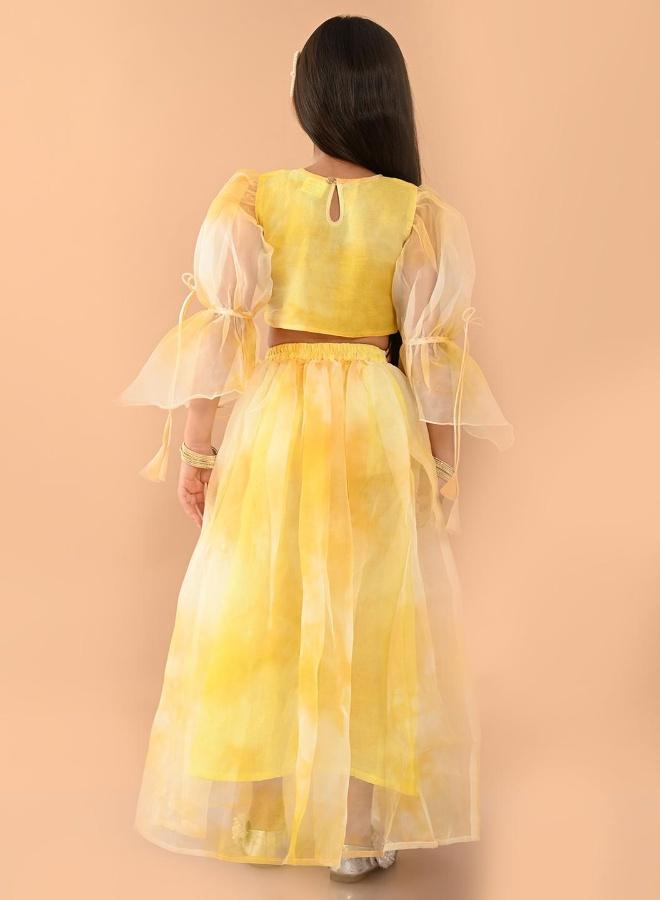 LILPICKS Designer Lehenga Choli Set - Image 2