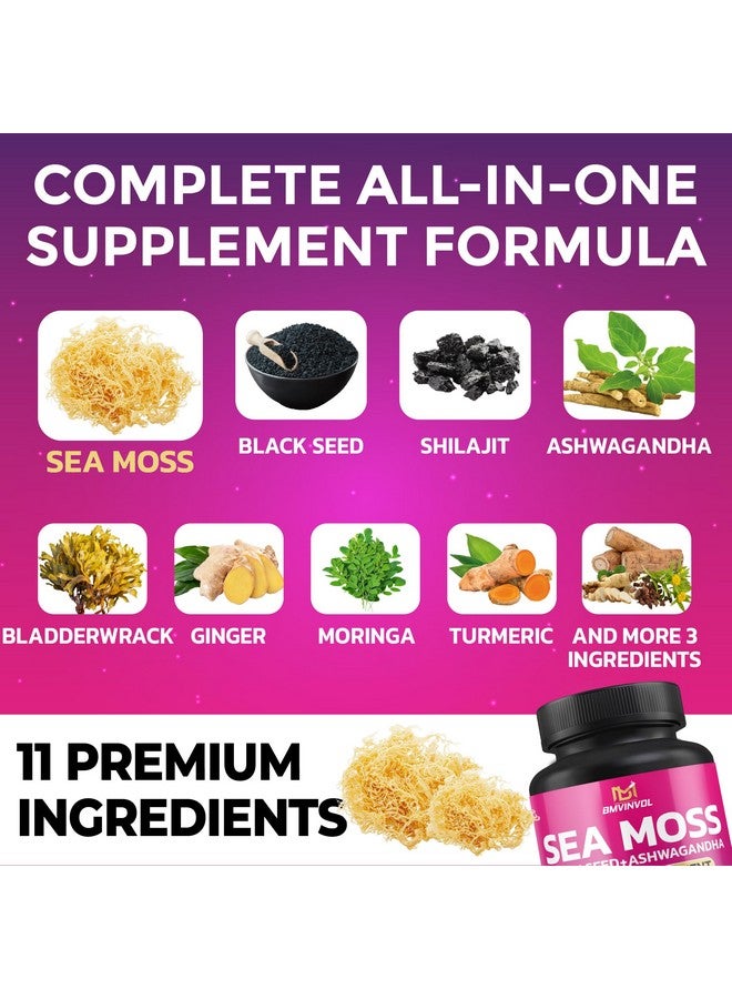 BMVINVOL BMVINVOL Sea Moss Black Seed Shilajit Ashwagandha + Bladderwrack, Ginger, Moringa, Turmeric, Burdock, Ginseng, Rhodiola Rosea - 100 Capsules - Image 3