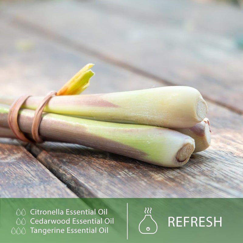 PHATOIL Citronella Essential Oil 30ML, Premium Grade, Pure Essential Oils for Diffusers for Home, Perfect for Aromatherapy, Diffuser, Humidifier, Candle Making - Image 3