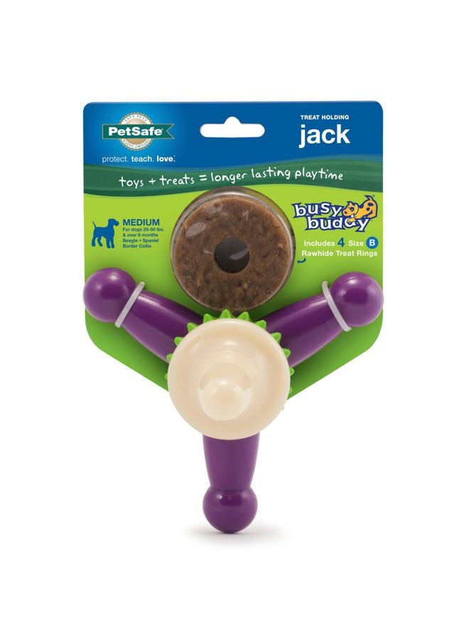 PetSafe Busy Buddy Jack - Image 1