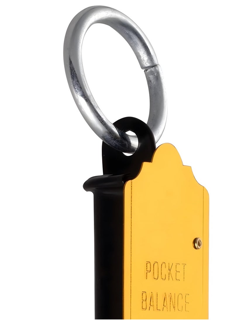 DEFAONS DEFAONS Pocket Balance Spring Scale 100Kg 224LBS  Portable Hanging Hook Scale Mechanical Weight Measuring Tool for Travel Fishing Farming and Kitchen Use - 1 pcs  - Image 3