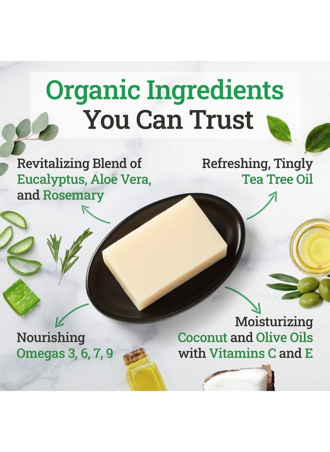 Truremedy Naturals - Remedy Natural Tea Tree Oil Soap Bar For Men Women (Pack Of 2) W Peppermint & Eucalyptus Face & Body Soap For Body Odor & All Skin Types - Image 1
