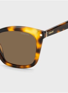 Polaroid Pld 4110/S/X Sunglasses  - Image 5