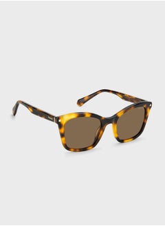 Polaroid Pld 4110/S/X Sunglasses  - Image 3
