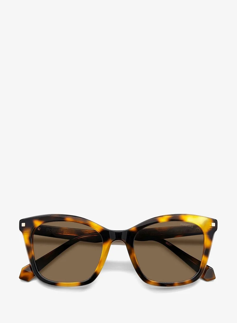 Polaroid  Pld 4110/S/X Sunglasses for Women | Best Price UAE