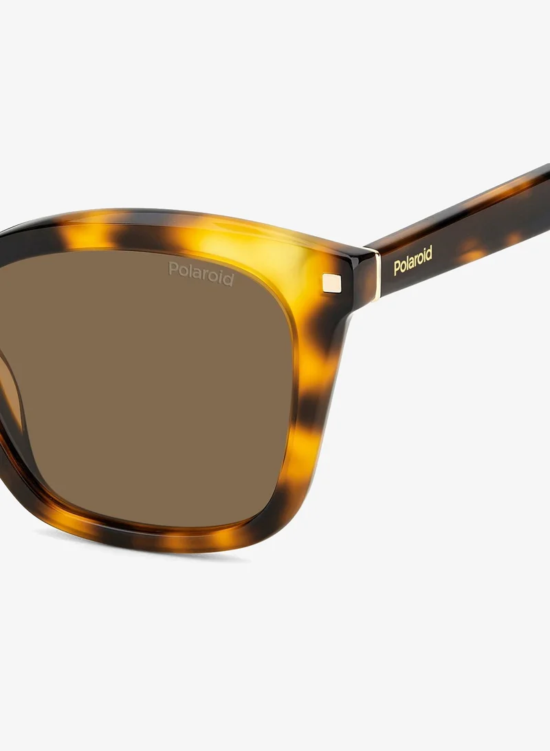 Polaroid  Pld 4110/S/X Sunglasses for Women | Best Price UAE