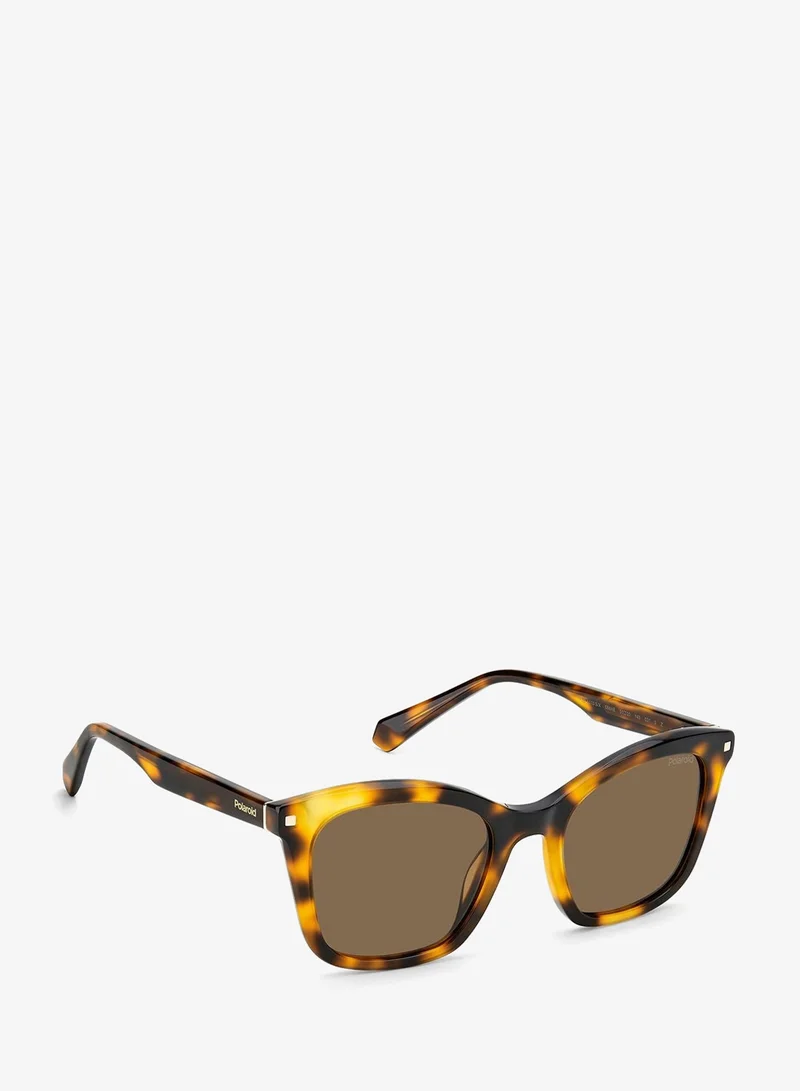Polaroid  Pld 4110/S/X Sunglasses for Women | Best Price UAE